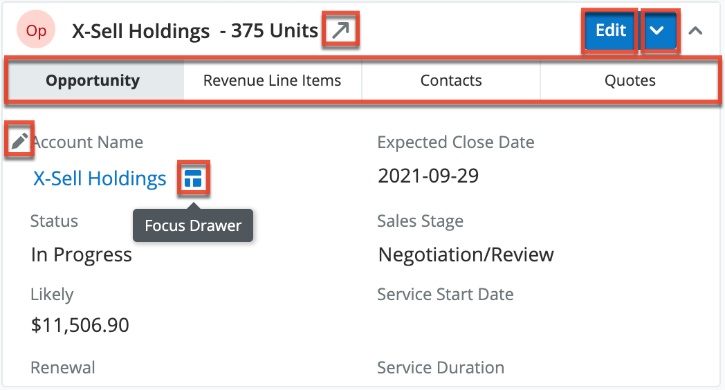 RenewalsConsole OppRecordDashlet Options