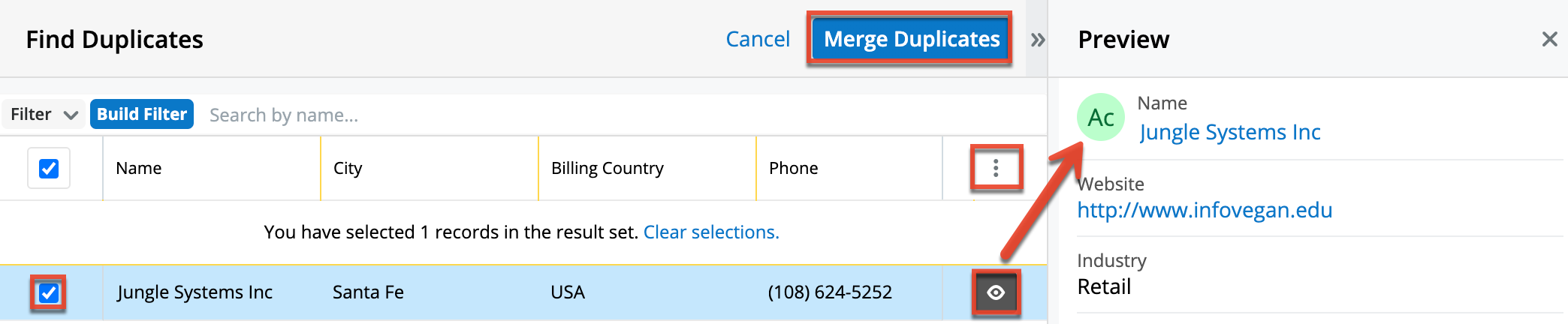 UI RecordView FindDuplicates Merge