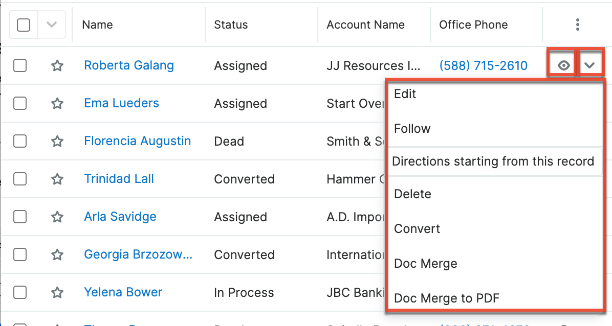 Leads LVRecordActionsMenu