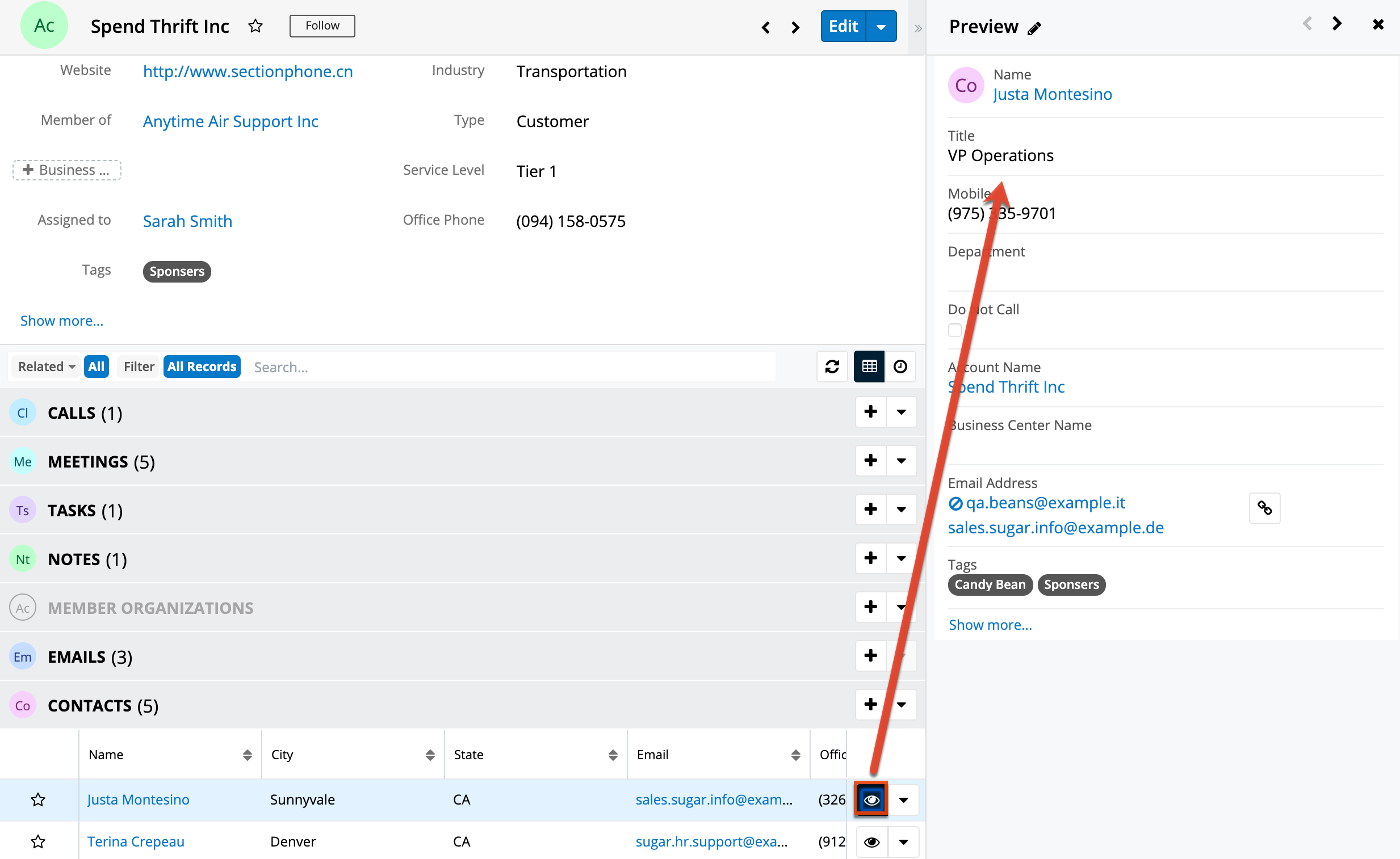 UI RecordView Preview