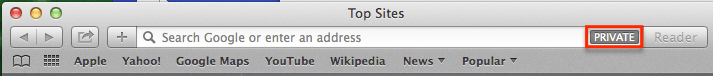 Safari AddressBar Private