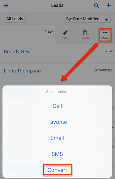 LeadConversion ListView ConvertOption