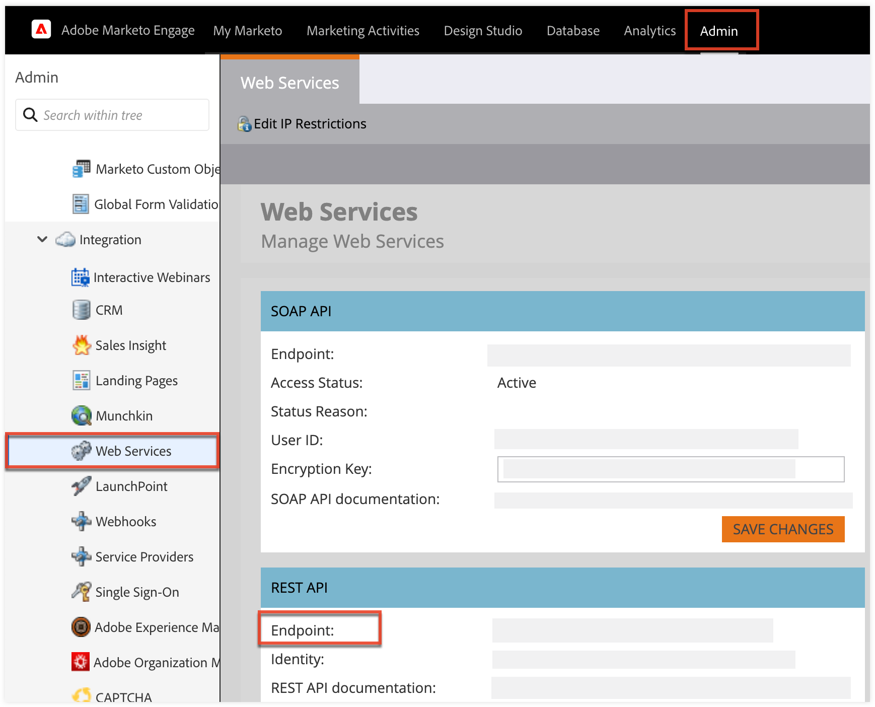 Marketo_WebServices_RESTAPI_Endpoint