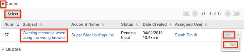 Subpanel view for cases