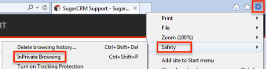 IE InPrivateBrowsing 11.0