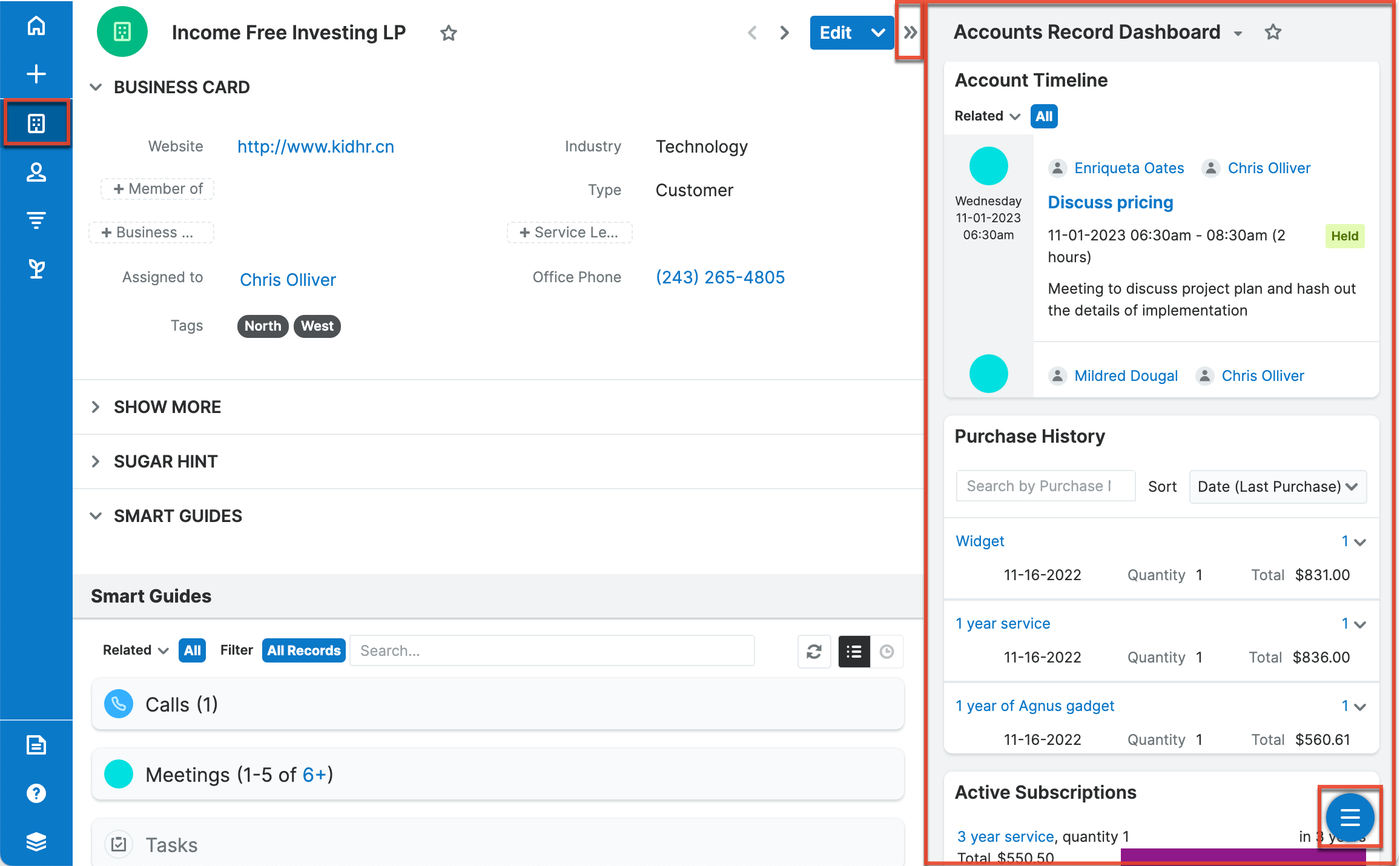 Accounts record view