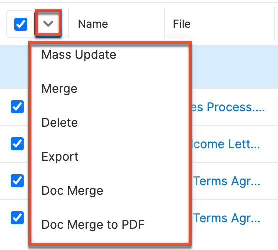 Documents LVMassActionsMenu