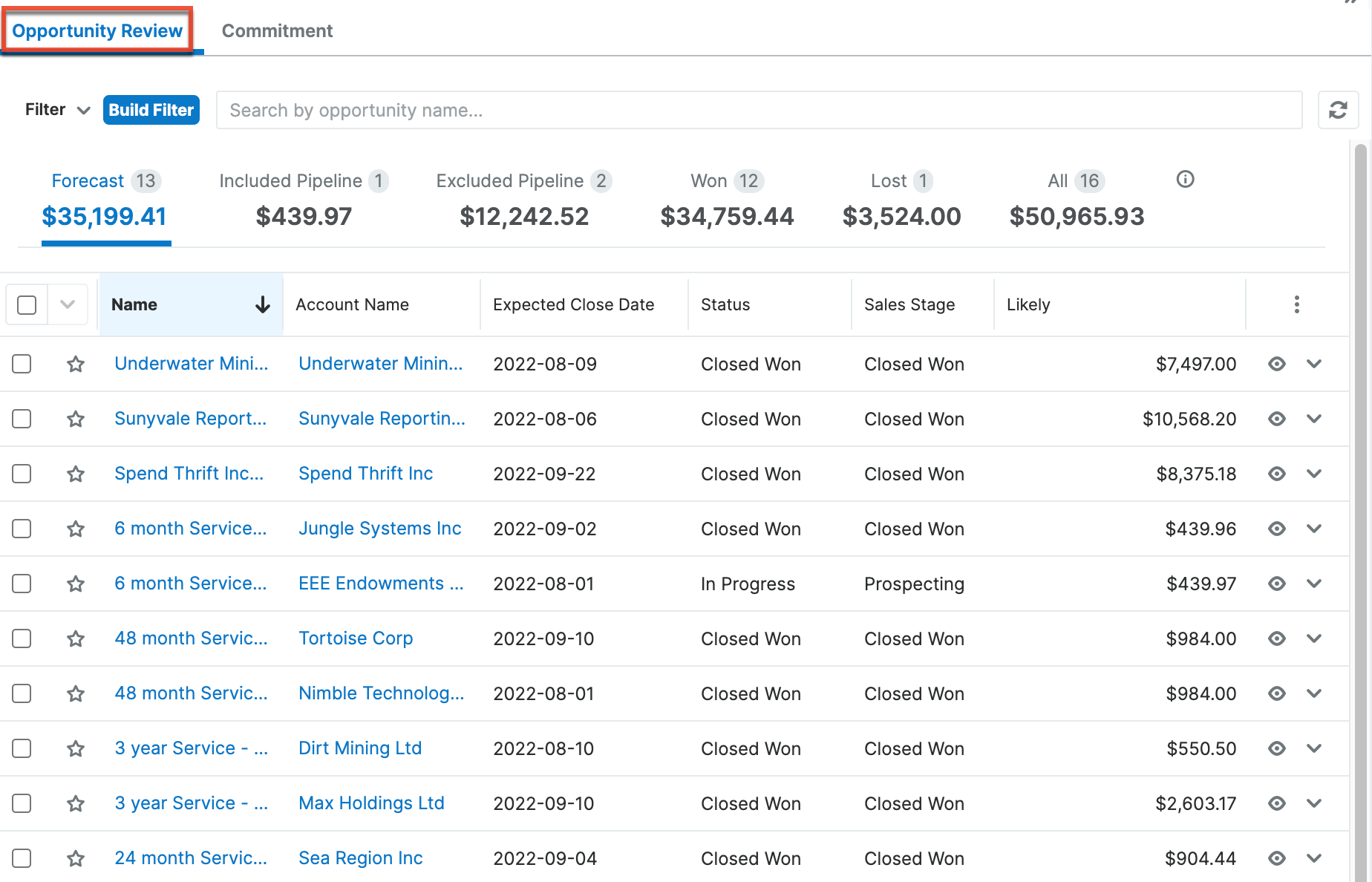 forecastopportunityreview