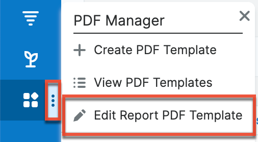 editreportpdf
