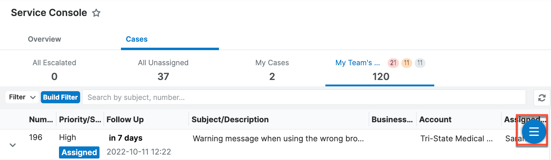 ServiceConsole Overview Cases Tabs