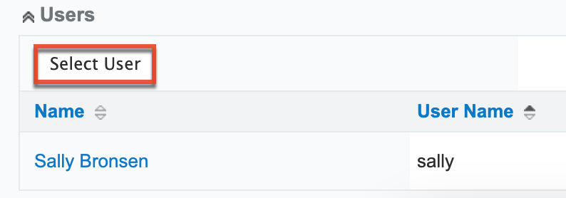 Select user for data privacy manager role