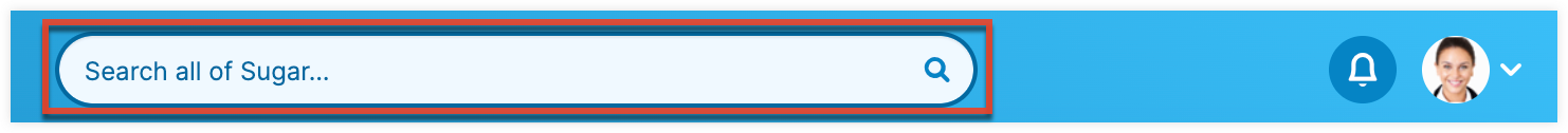 UserInterface_GlobalSearch