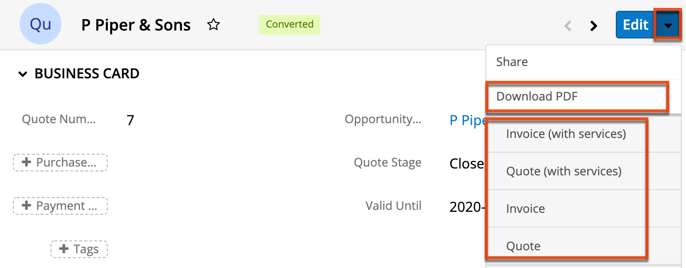 UI RecordView DownloadPDF